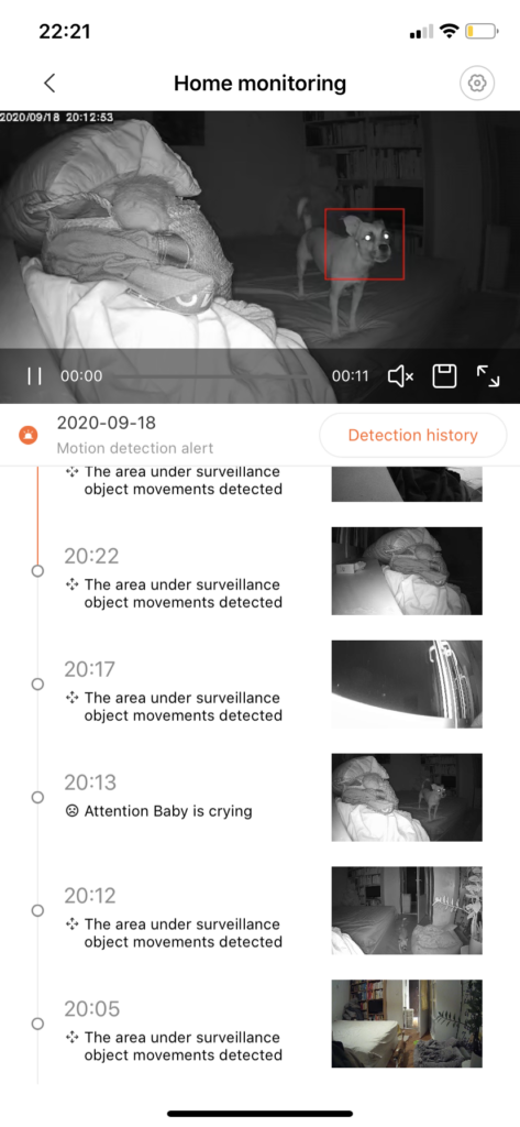 Zrzut ekranu przedstawia panel aplikacji do monitoringu psa. Na podglądzie ekranu widać psa stojącego w nocy na łóżku. Obraz jest w podczerwieni