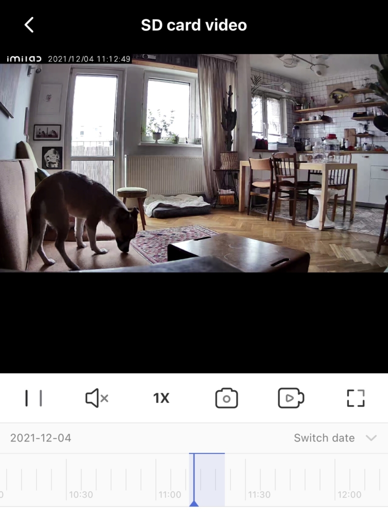 Zrzut ekranu przedstawia panel aplikacji kamery służącej do monitoringu psa. Na podglądzie ekranu widać psa na kanapie.